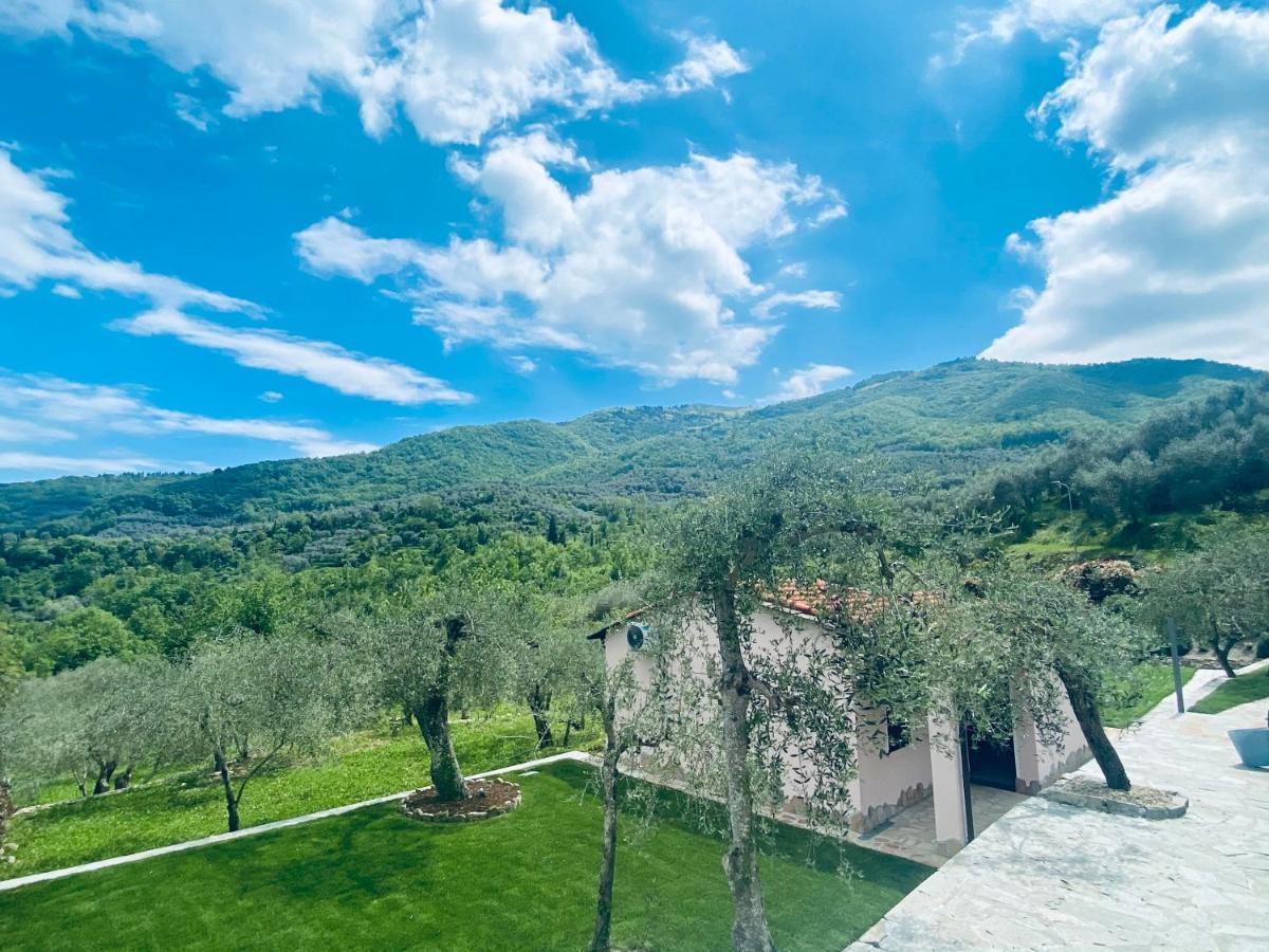 Casa Vacanze Gli Ulivi Borgomaro Exterior photo