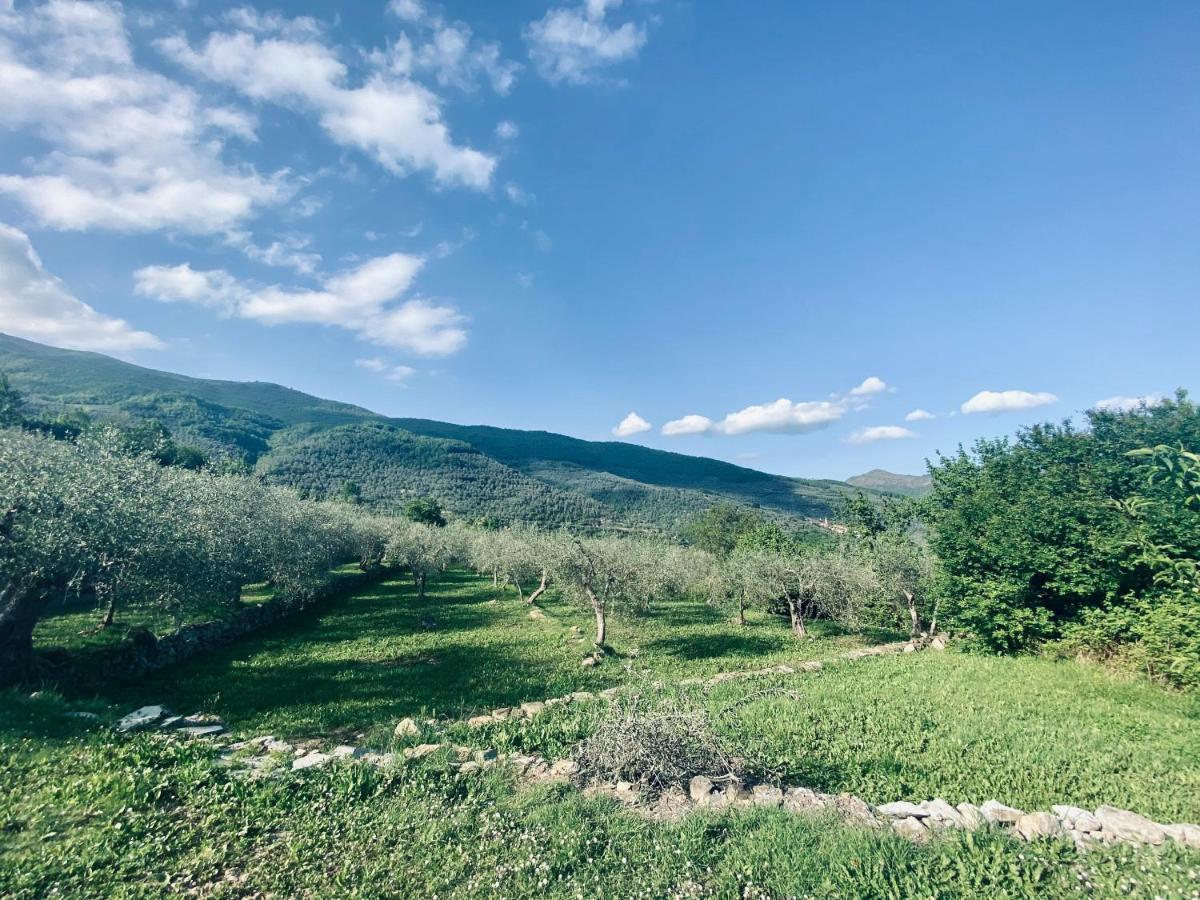 Casa Vacanze Gli Ulivi Borgomaro Exterior photo