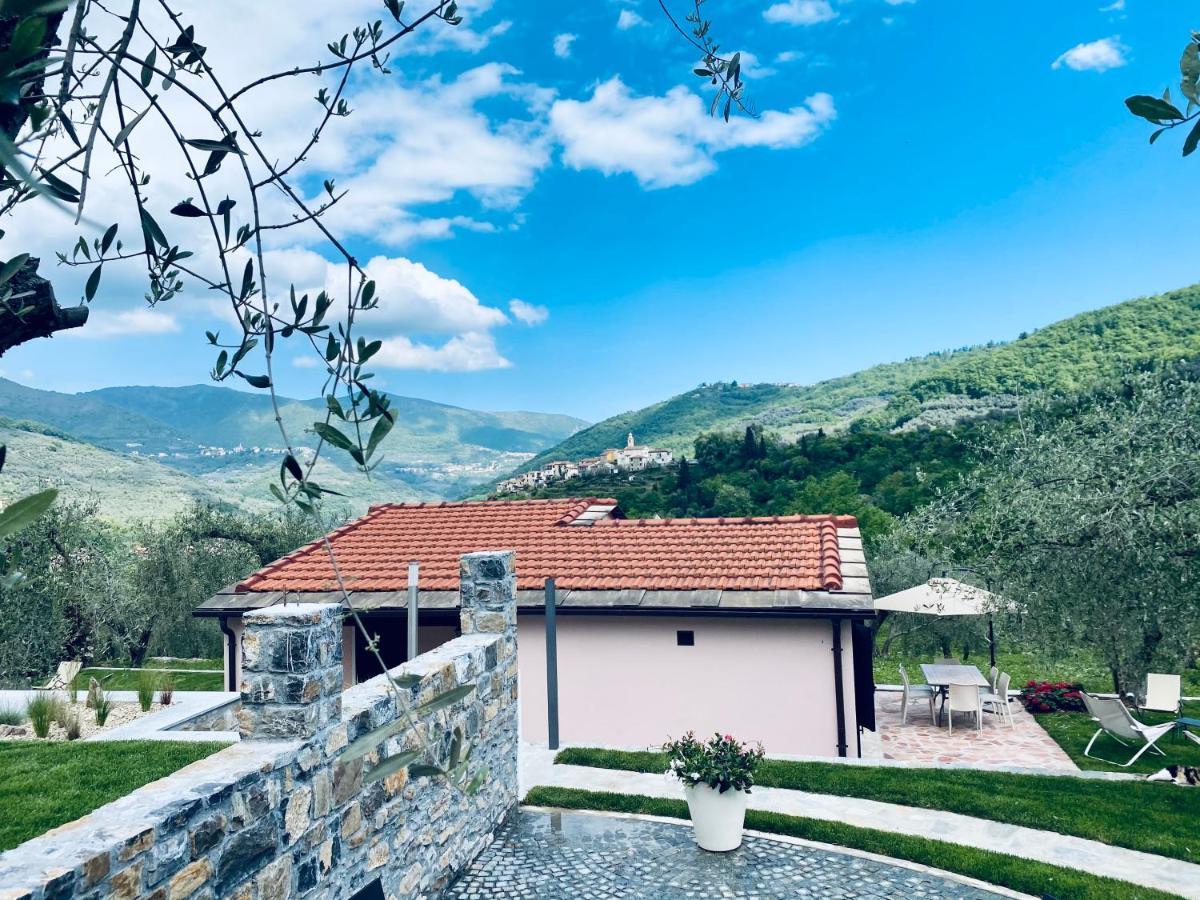 Casa Vacanze Gli Ulivi Borgomaro Exterior photo